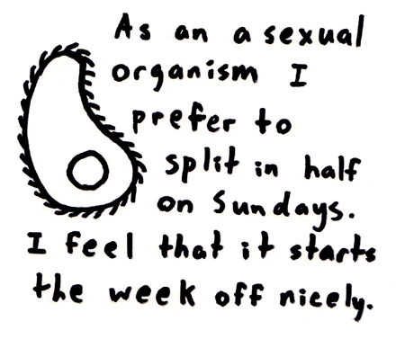 "GO" to mass on Sundays? Please, I've got my own.