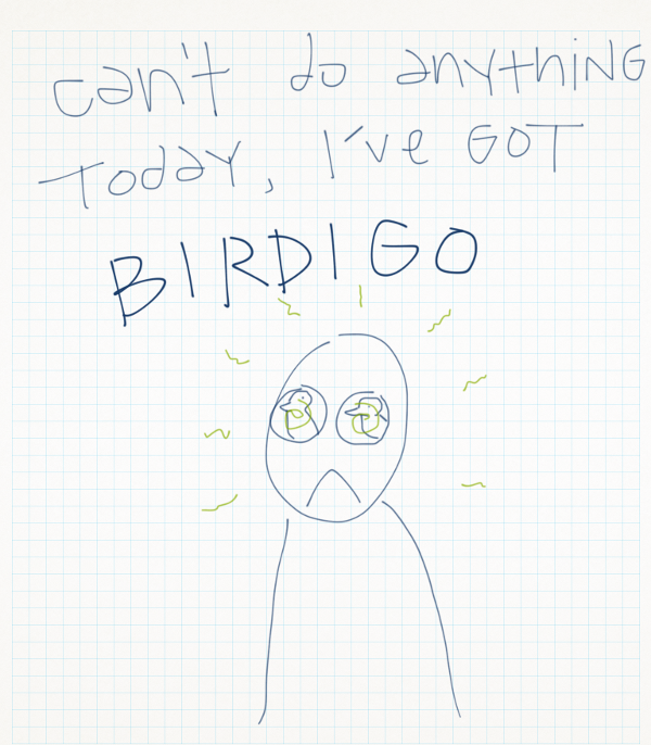 cheep cheep