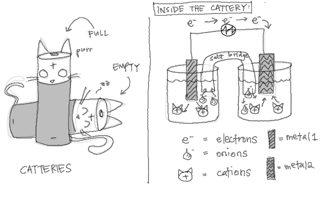 disclaimer: squirrel muffins is not responsible for any failures of electrochemistry exams