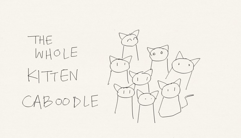 that is a Lot of kittens.