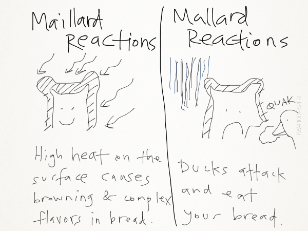 alternatively, tiny ducks grow on the surface of your bread.