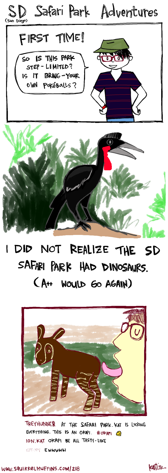the Abyssinian Ground Hornbill is a really, really cool bird, but it would probably eat us all given the chance